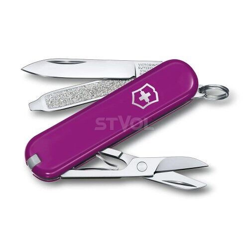 Ніж Victorinox Сlassic SD "Tasty Grape" фото