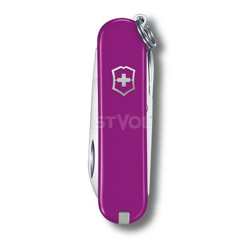 Ніж Victorinox Сlassic SD "Tasty Grape" фото 2