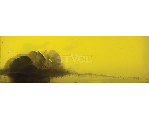 Патрон нарезной Federal Vital-Shok, 30-06, 165GR (10,69 г),Nosler BALLISTIC TIP Фото 4